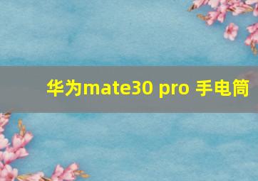 华为mate30 pro 手电筒